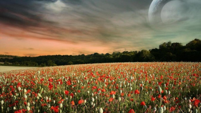 为什么小公司留不住人?